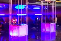 gogo cages stage on VH1 series